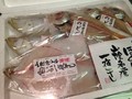 届いた時の状態☆梱包の上からもきちんとパックされています。