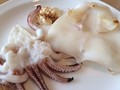 白いか。ふっくら柔らかい！