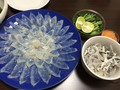 ふぐ刺しが見事に美しい！芸術です。