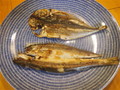 かますとアジをあぶりました。適度な脂ののりで美味しい