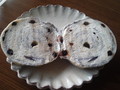 ブルーベリーがこんなに・・・