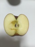 蜜入り