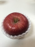 キレイな色！