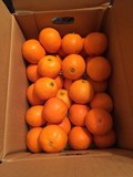 箱の中身はこんな感じです。