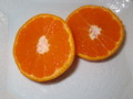 みずみずしく果汁たっぷり。