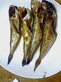 ハタハタ