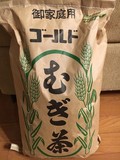 特大5キロの麦茶