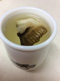 みずみずしいひれが入っています