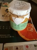 パンフレットと共に