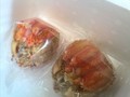 しっかりと冷凍されて届きます☆