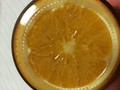 底の写真。瓶の直径いっぱいのオレンジ