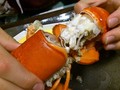 豪快にいただきます！！