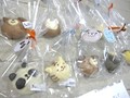 10個の可愛い子が勢揃い☆