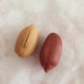 渋皮も美味しくいただけます！