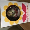 届きました
