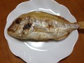 立派な連子鯛